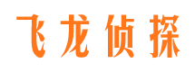 西藏市侦探调查公司